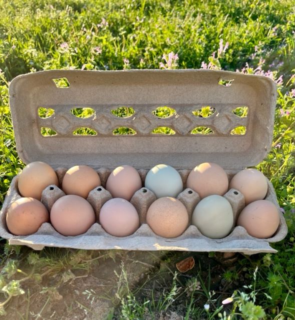Cage Free, Barnyard Mix Eggs