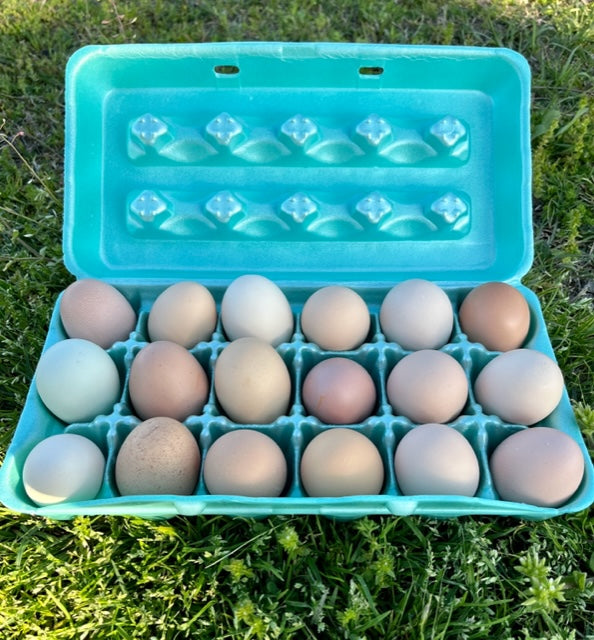 Cage Free, Barnyard Mix Eggs